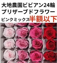 mako様 リクエスト 2点 まとめ商品