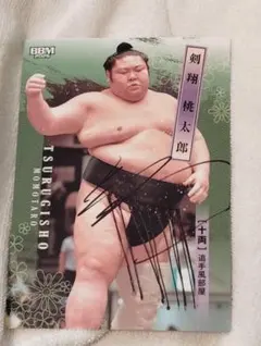 Item thumbnail for item 56d2dffd-91bd-4edd-bd50-01c253af066a