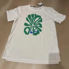 Item thumbnail for item ae3bf530-72e0-423d-b361-bb486e3939f5