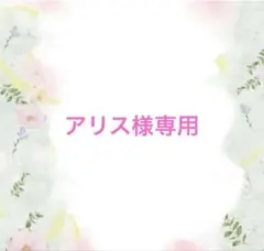 アリス様専用