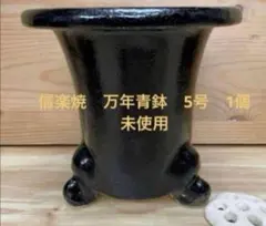 2025年最新】万年青 鉢の人気アイテム - メルカリ