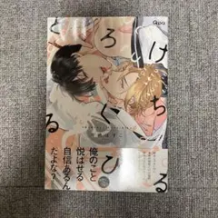 初版　新品　とろけるくちびる　高崎ぼすこ　特典付 Γ高崎ぼすこ 『とろけるくちびる』 ブランケット CATEGORY 高崎ぼすこ