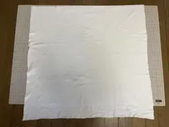 Item thumbnail for item 2a9f5c9e-17de-4276-b7bc-6bc1479d24d5