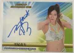 Item thumbnail for item 06c4425c-0f05-4725-ace7-c7b8e6078c5d