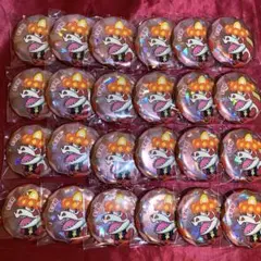 ポケモン 宝石ホログラム缶バッジ 限定品 公式正規品 パピモッチ 20個