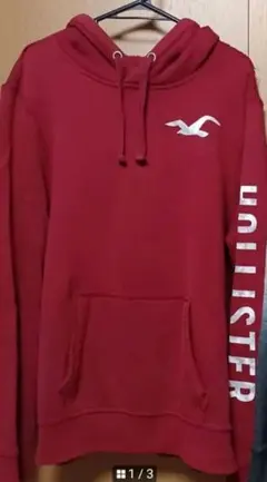Hollister　起毛パーカー　L