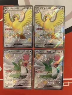 ピジョット ex イキリンコex ssr 各2枚 色違い