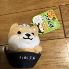 旅するマメしば　山形県　芋煮