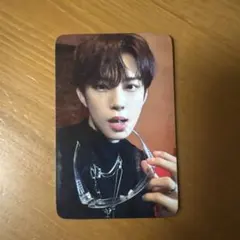 ALD1 ショケ トレカ ゴヌ