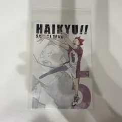 ハイキュー ゲンガ×タイカン 特典ポストカード ハイキュー展 天童覚