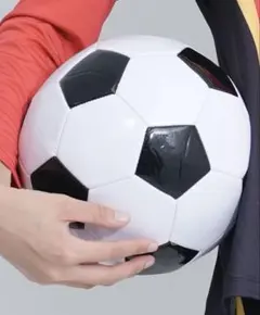 Item thumbnail for item dc9c8a4c-dc45-41b6-b441-0294a6f17ae8