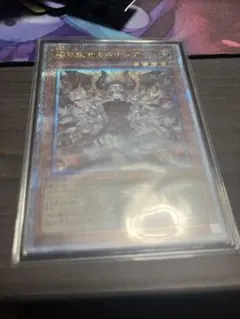 2026年最新】赫の聖女カルテシア イラスト違いの人気アイテム - メルカリ