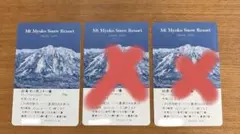 妙高杉ノ原スキー場リフト1日券2枚セット 25-26 早割リフト券 新潟 妙高杉ノ原スキー場 全日大人1日券 2枚セット