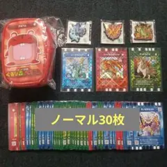 ぐるり森カード　アカハムポーチセット⑦