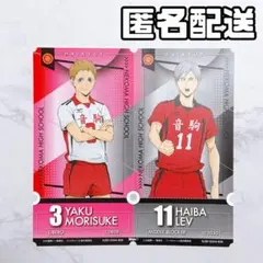 ハイキュー チケットライクコレクション 灰羽リエーフ 夜久衛輔