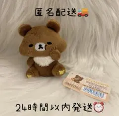 チャイロイコグマ ハロウィン ぬいぐるみ 2021 - メルカリ