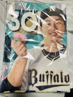 2025年最新】廣岡大志 コロチャレの人気アイテム - メルカリ