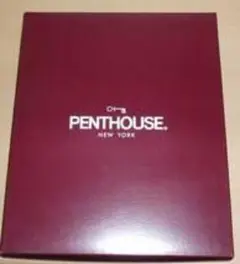 PENTHOUSE・紳士ビジネスソックス２Ｐ