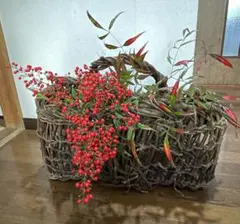 2026年最新】アケビの人気アイテム - メルカリ