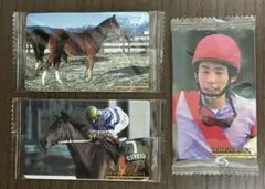 東ハト、馬っぱれ、競馬、オマケ、カード
馬、ラッキーカード Amazon.co.jp: 20種類セット まねき馬カード 馬勝った 競走の走