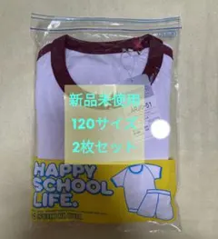 半袖　体操服　120サイズ【2枚セット】