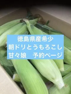 tremolo もちっり玄米 180g 小豆ブレンド15個＋黒米ブレンド15個