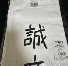 新すばらしきこのせかい 発売記念くじB賞「推しが尊い」Tシャツ - メルカリ