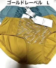 triumph トリンプ　ショーツ　ゴールドレーベル　2枚　L