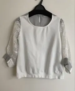 Item thumbnail for item 80552b1e-a0b0-4dbc-9c77-f7c09ff290c9