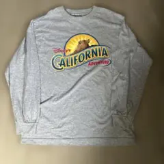 00s Disney California Adventureのサムネイル