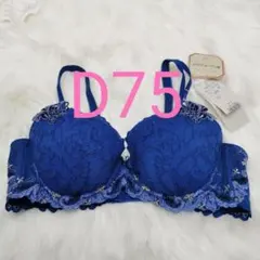 トリンプ プレミアム レッドレーベル0066 ブラジャーD75 ブルー