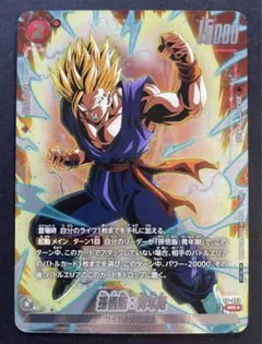 【即日発送】 孫悟飯 青年期 FP-063 プロモ winner パラレル