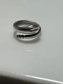 Item thumbnail for item e7321ce4-76d5-430e-8c87-2c829e4f4831