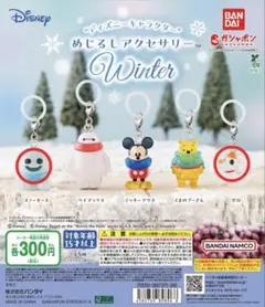ディズニー めじるしアクセサリー Winter スノーギース ゼロ セット
