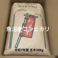 2026年最新】魚沼産コシヒカリの人気アイテム - メルカリ