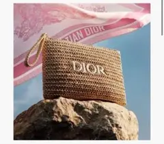 【新品】Dior ノベルティ　ストローポーチ