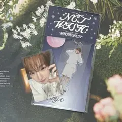 nctwish wishlist サクヤ dreamy トレカ アクキー