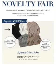 アプワイザーリッシェ　ノベルティ　5分袖シアープルオーバー