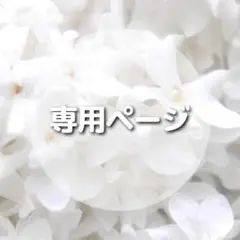 限定1】20センチぬいぐるみ セーラームーン 月のうさぎ 本体 衣装