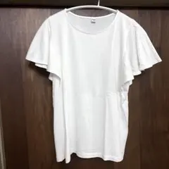 Item thumbnail for item 9c1047af-5cbd-486a-9d28-935bb490aba1