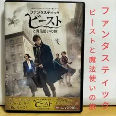 ファンタスティック・ビーストと魔法使いの旅('16英/米)