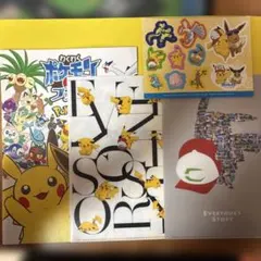 ポケモン クリアファイル シール 冊子 セット ピカチュウ　劇場版　みんなの物語