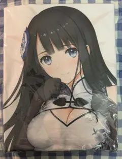 瓶児 2025 抱き枕カバー ロングチャイナ T2 ART WORKS TONY