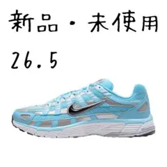NIKE ナイキ　スニーカー　Ｐ６０００　アクアリスブルー　26.5