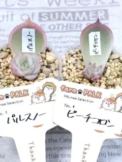 2026年最新】ファームパルクの人気アイテム - メルカリ