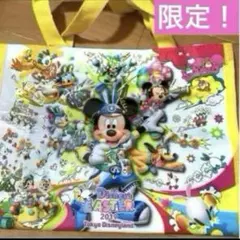 【非売品】かわいい♡ディズニーリゾート限定⭐︎イースターバッグ》うさぴよ♡