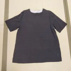 ゴールデンベア