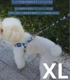 犬用ハーネス　リードのセット　ＸＬサイズ　おしゃれカラフル