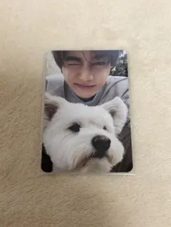 zb1 ゼベワン ハオ never say never レオ トレカ 犬