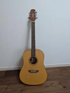 2026年最新】ギター ASHTONの人気アイテム - メルカリ